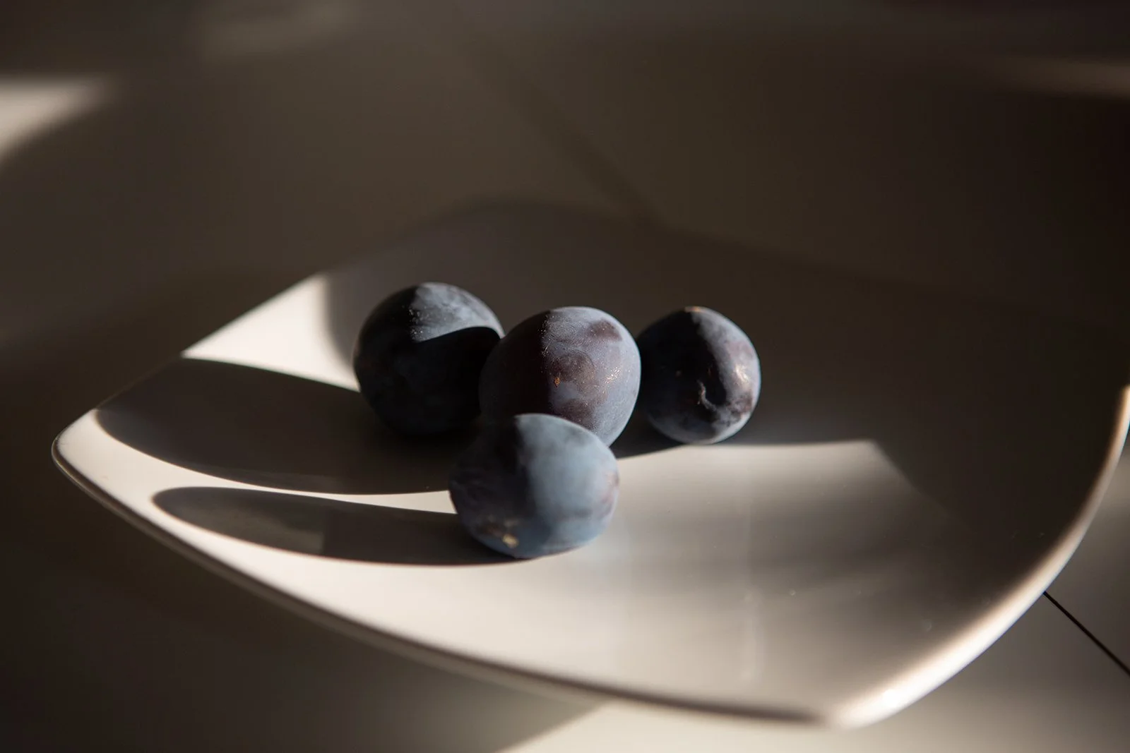 Blueberries-still life-plate-Nina Raingold.jpg