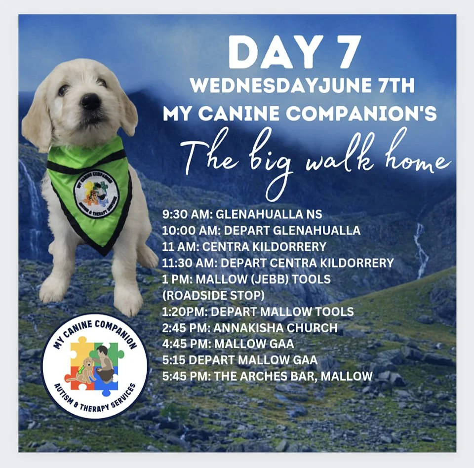 Day 7 Route - The Big Walk Home