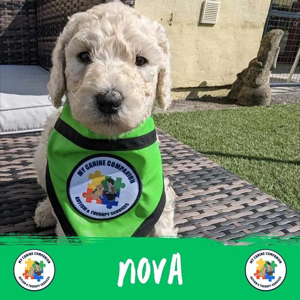 Our N litter have names!