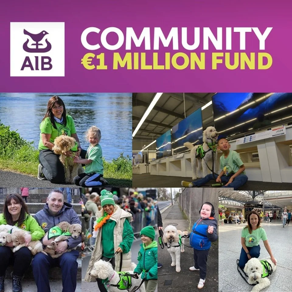 AIB Community Fund 2023