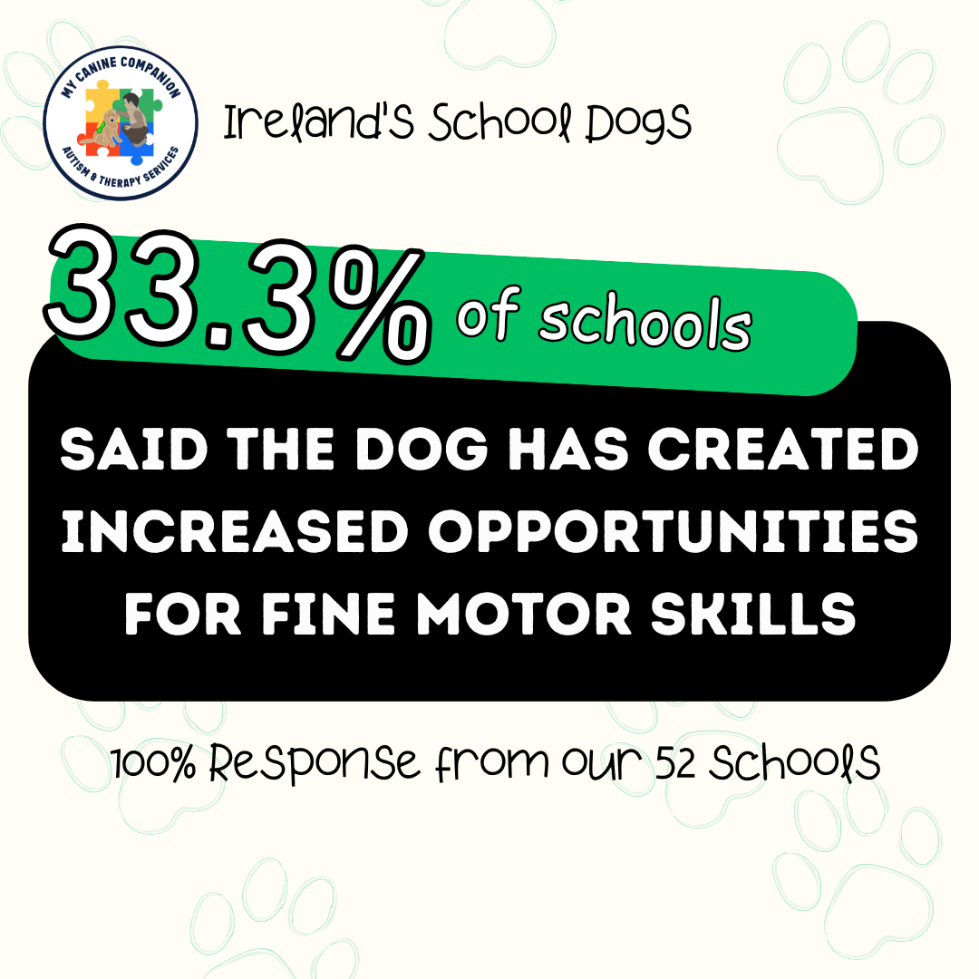 MCC School Therapy Dog Programme — My Canine Companion