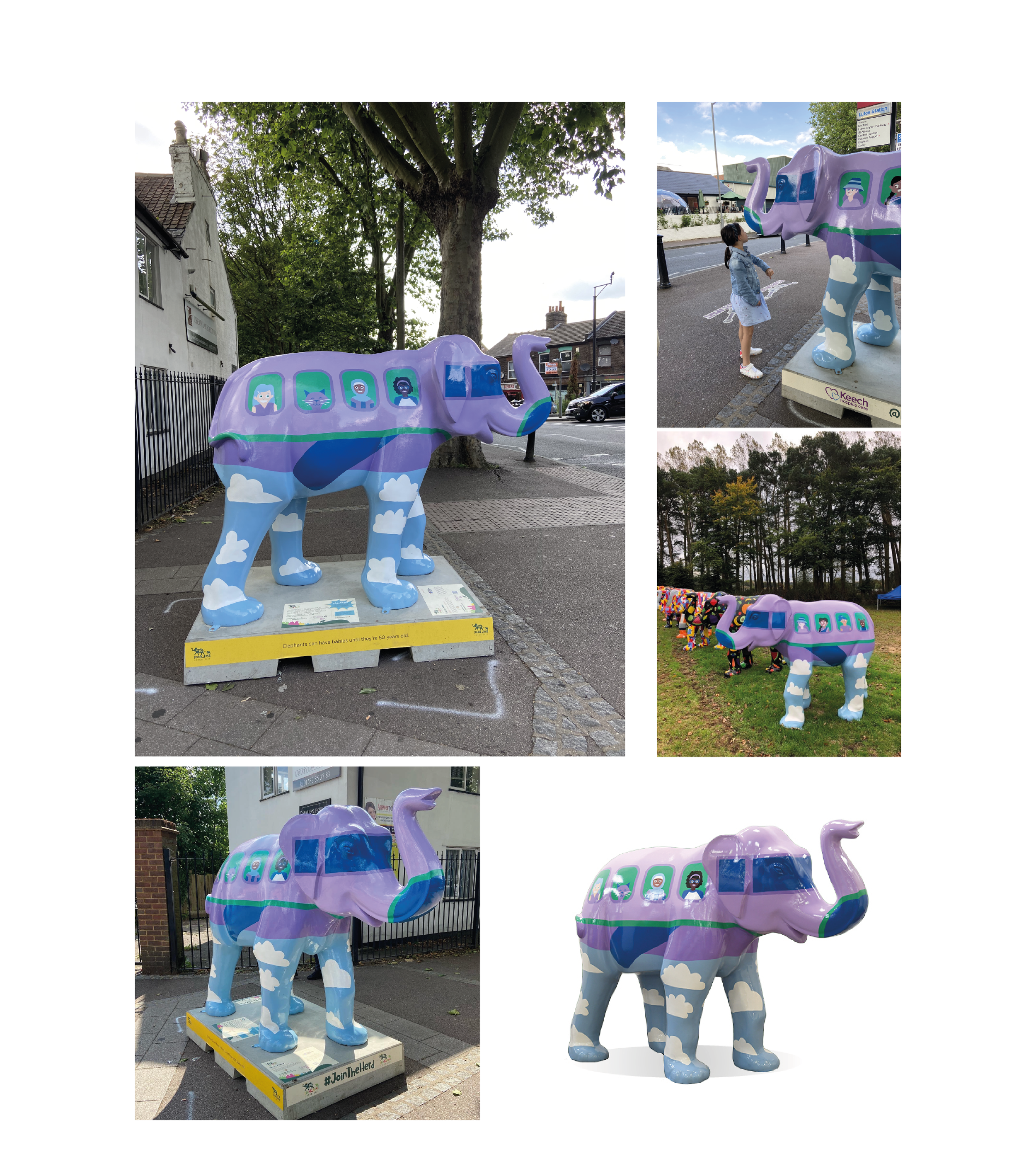 Images for website - case studies-08 2.png