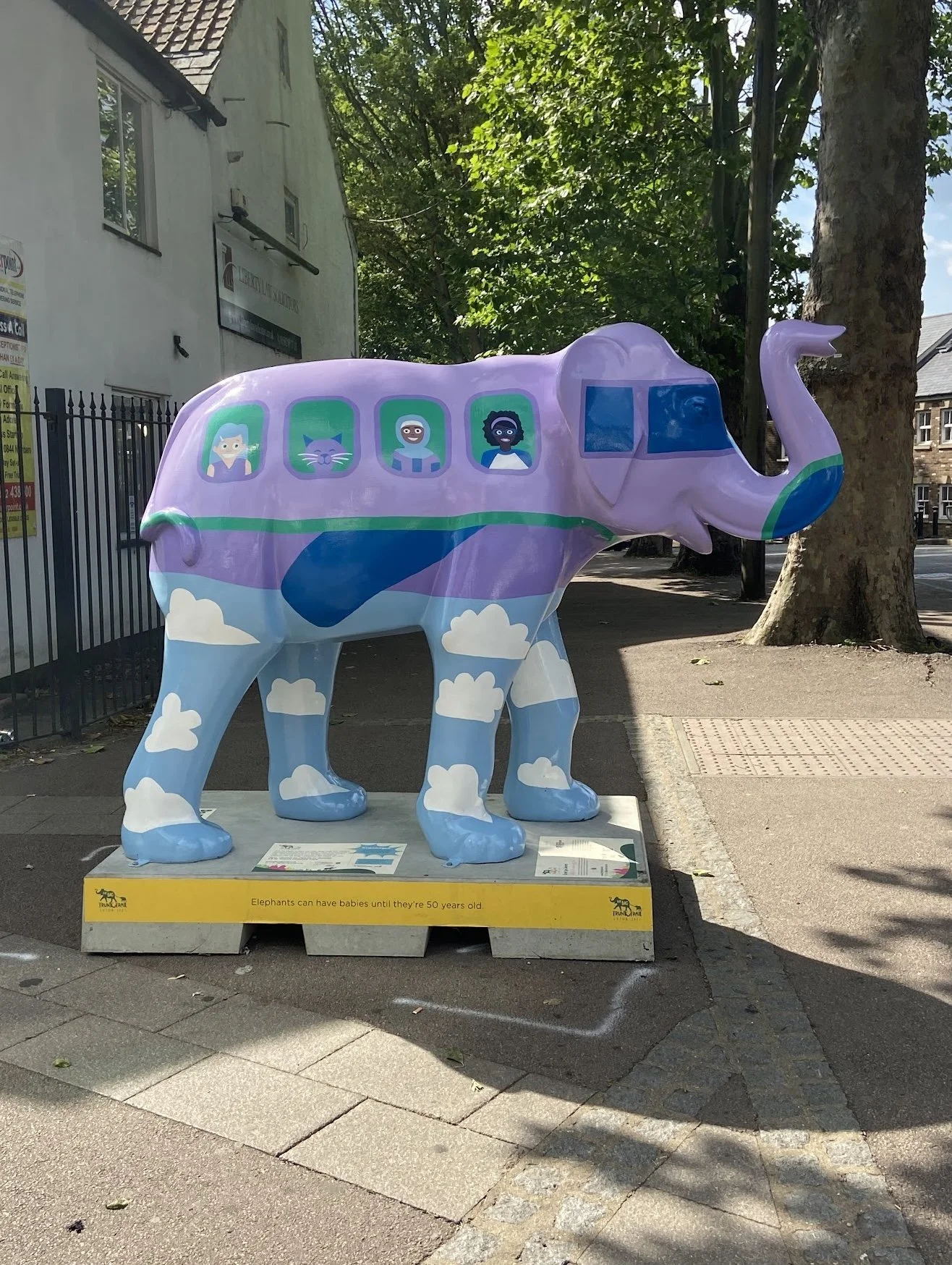 Enjoy The Journey - The Big Trunk Trail, Luton