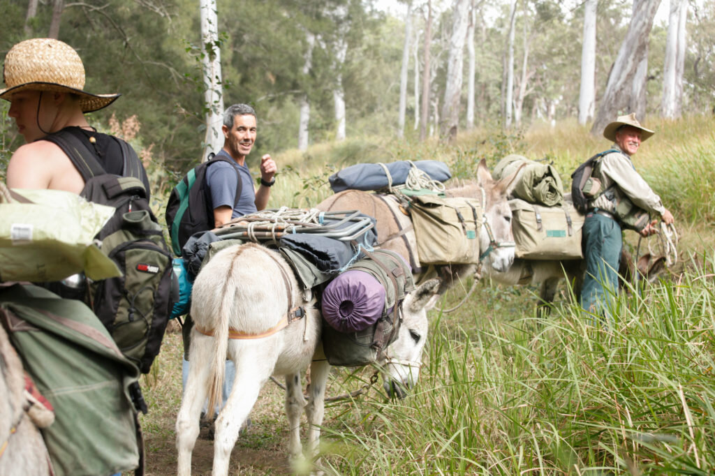 A Donkey’s Tail – Trek Australia with Wilderness Expeditions - @adventuremumma 2.jpg
