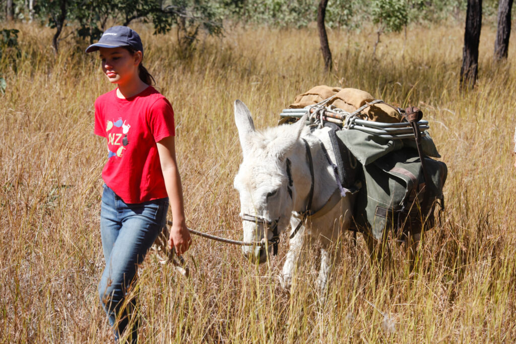 A Donkey’s Tail – Trek Australia with Wilderness Expeditions - @adventuremumma 1.jpg