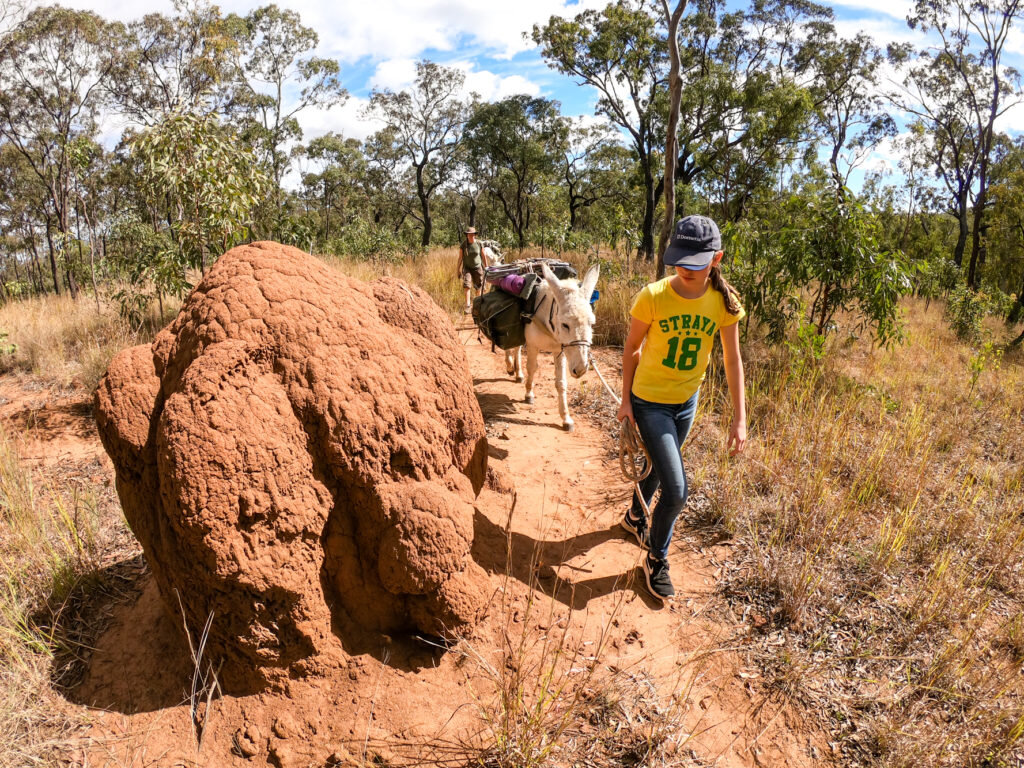 A Donkey’s Tail – Trek Australia with Wilderness Expeditions - @adventuremumma 9.jpg
