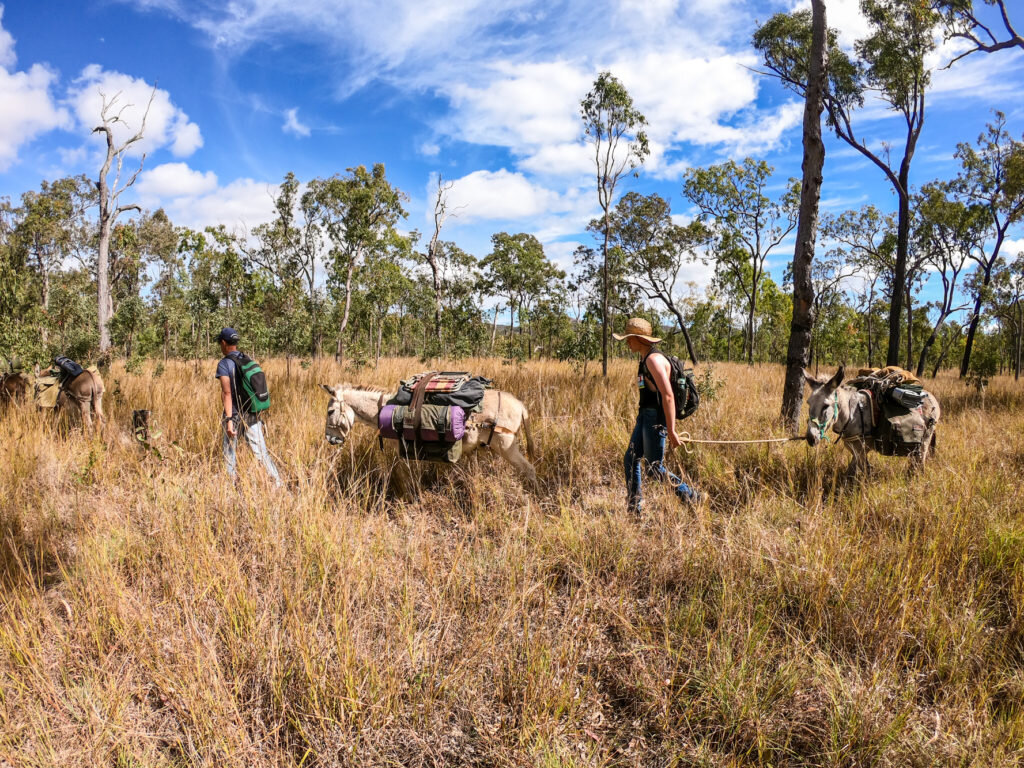 A Donkey’s Tail – Trek Australia with Wilderness Expeditions - @adventuremumma 10.jpg