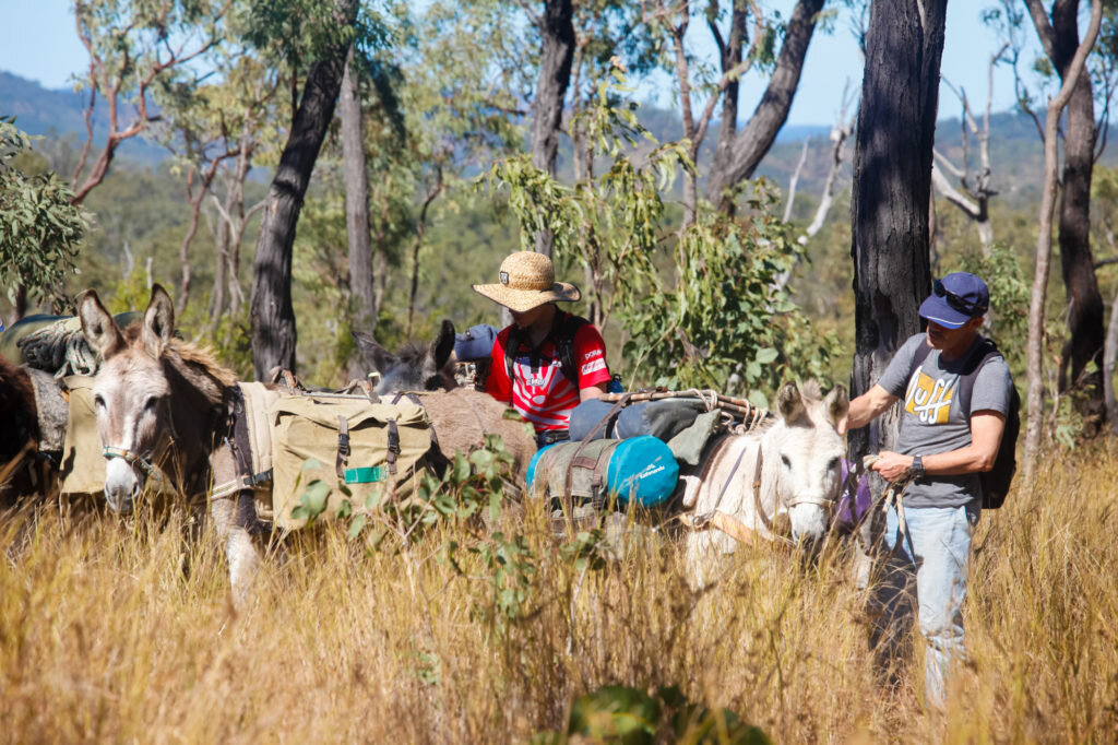 A Donkey’s Tail – Trek Australia with Wilderness Expeditions - @adventuremumma 25.jpg