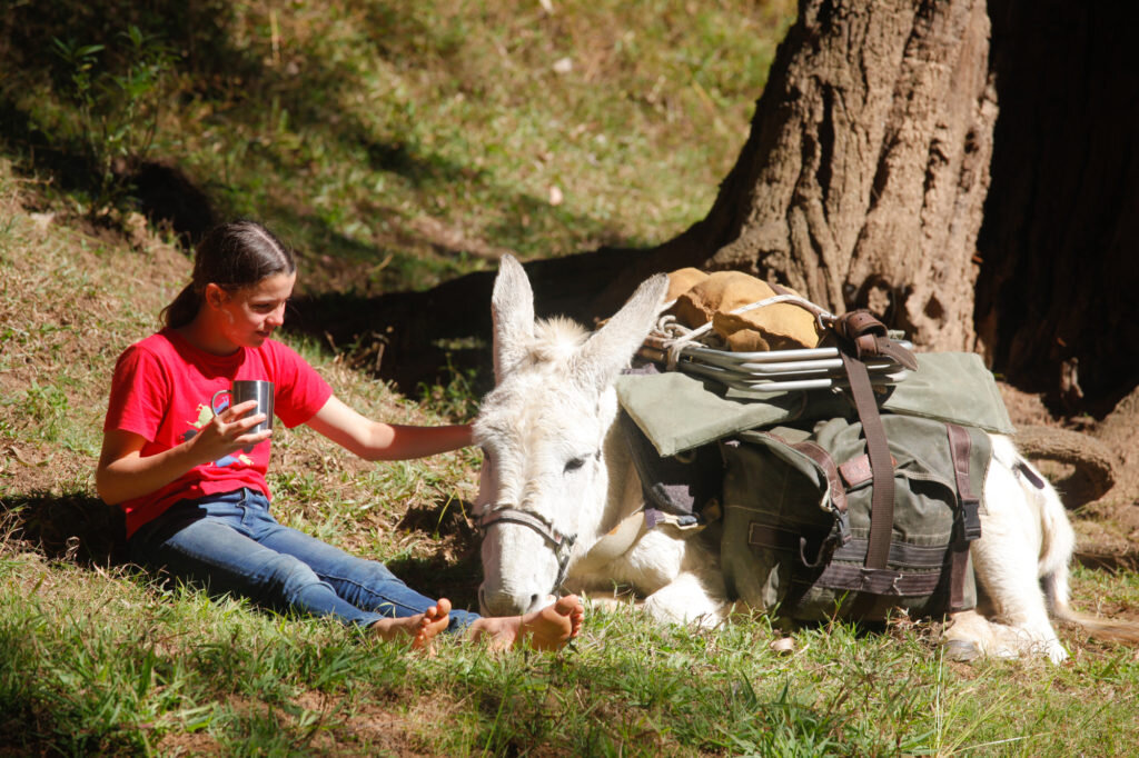 A Donkey’s Tail – Trek Australia with Wilderness Expeditions - @adventuremumma 27.jpg