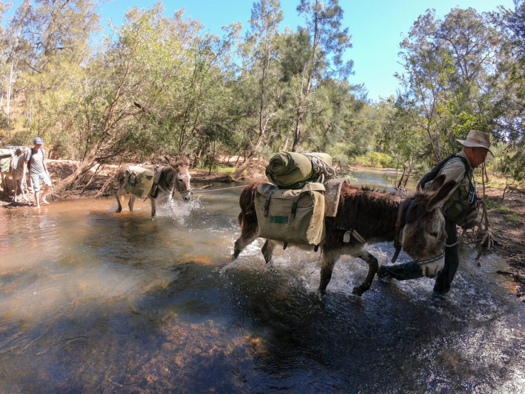 A Donkey’s Tail – Trek Australia with Wilderness Expeditions - @adventuremumma 28.jpg