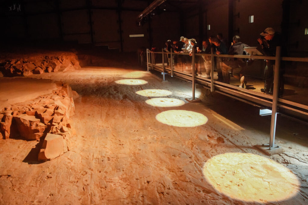 Lark Quarry showcases fossilised tracks of a dinosaur stampede