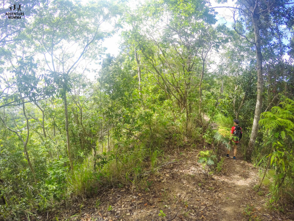 The beginning of the Green Arrow Track in Whitfield