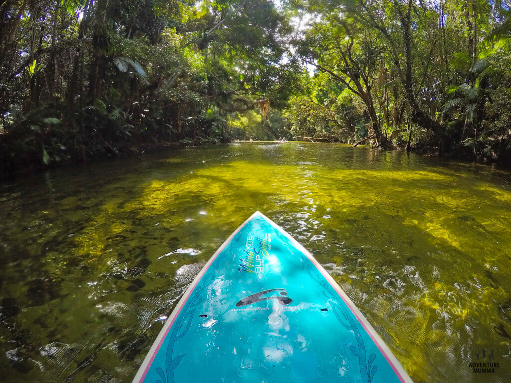 Surrounded by this much greenery it’s easy to relax on your SUP board