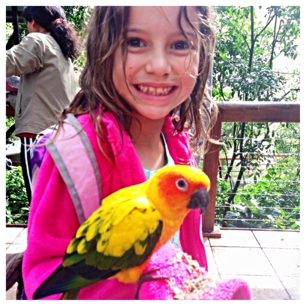 Hand feeding the colourful parrots at Birdworld was a thrill….