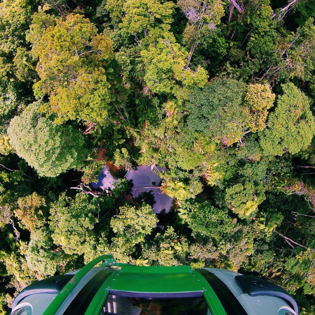 Such a gorgeous view of the World Heritage Rainforest below