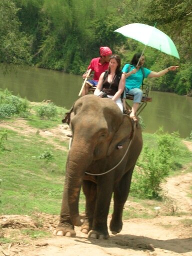 Riding elephants in Bangkok