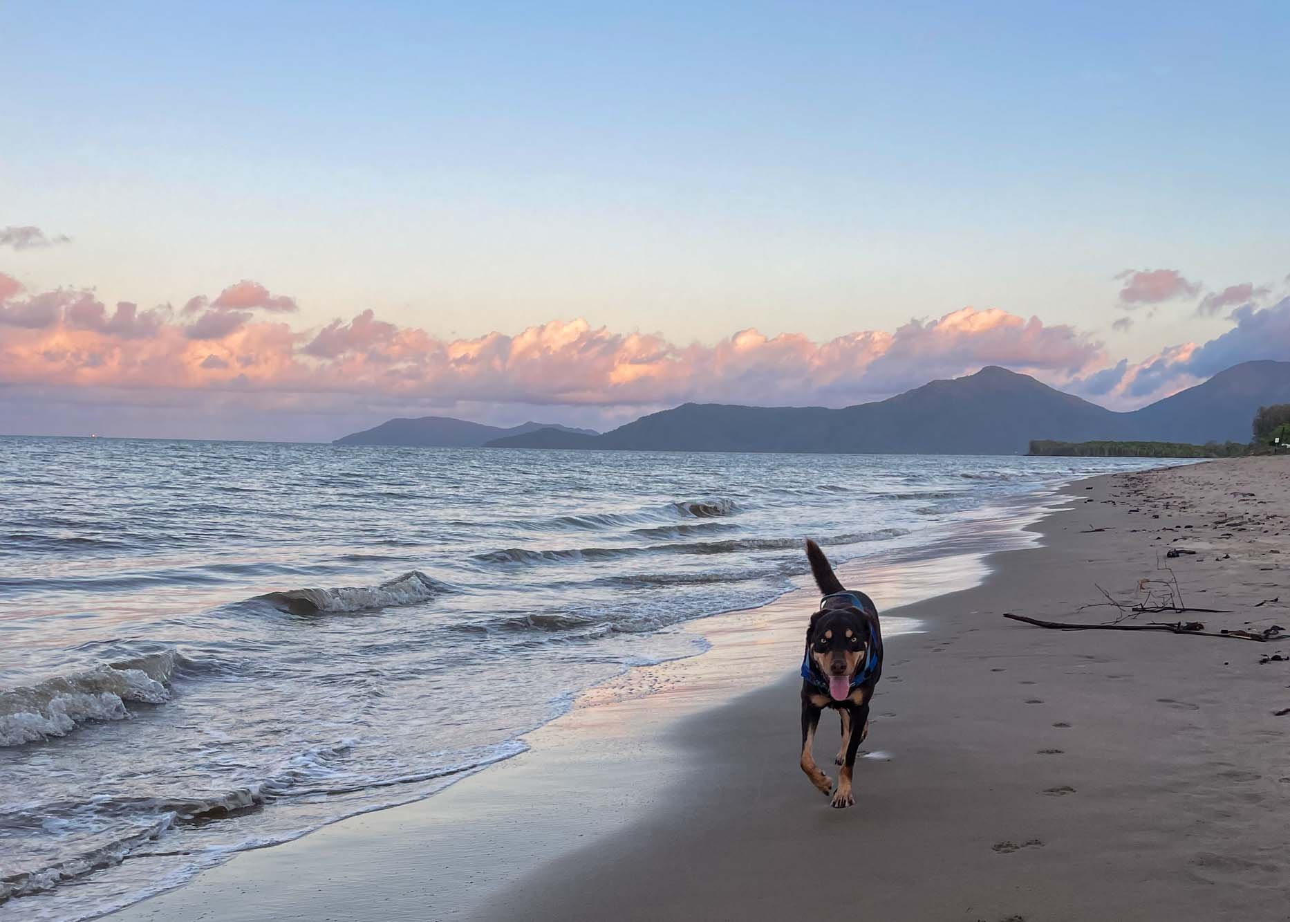 Clean Up Australia Day Cairns — Adventure Mumma