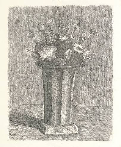 Cecilia paul pencil drawings 1.jpeg