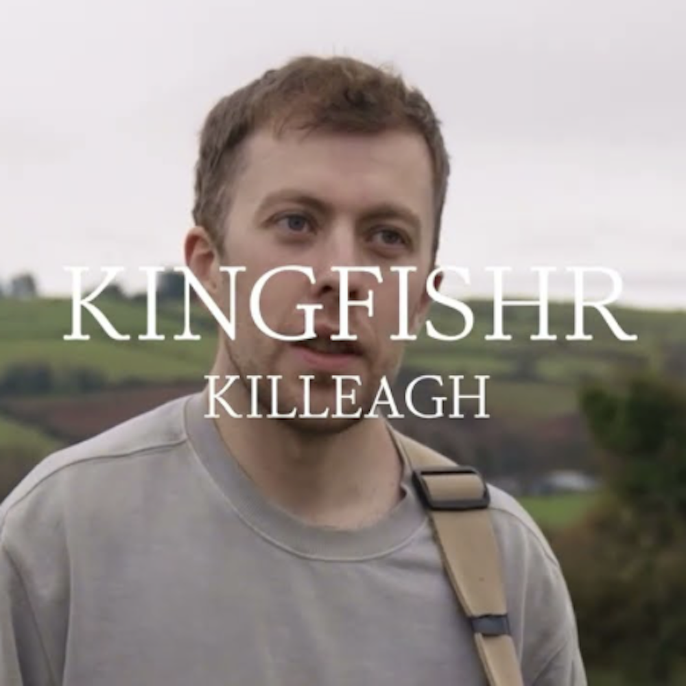 Kingfishr - Killeagh