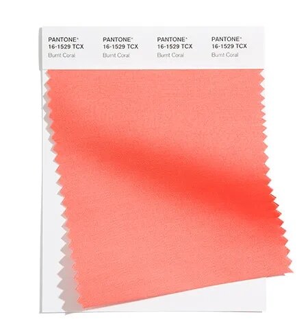 Inviting Burnt Coral expresses conviviality.
