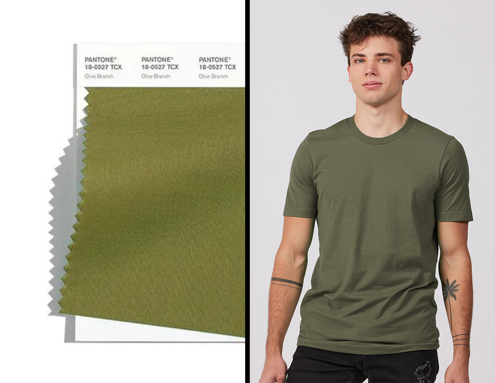 Pictured: Tultex Premium 502 in Olive