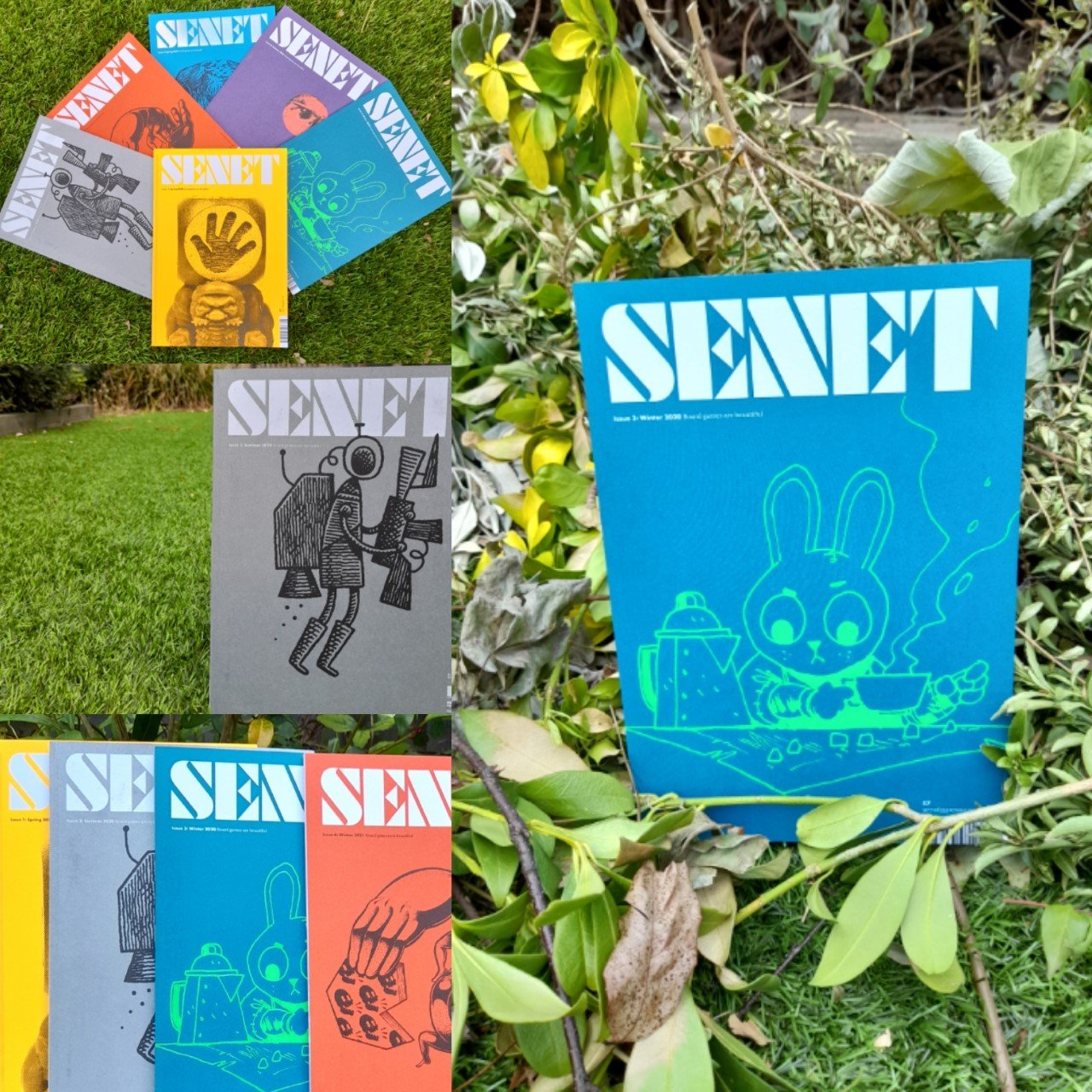 senet layout 2.jpg