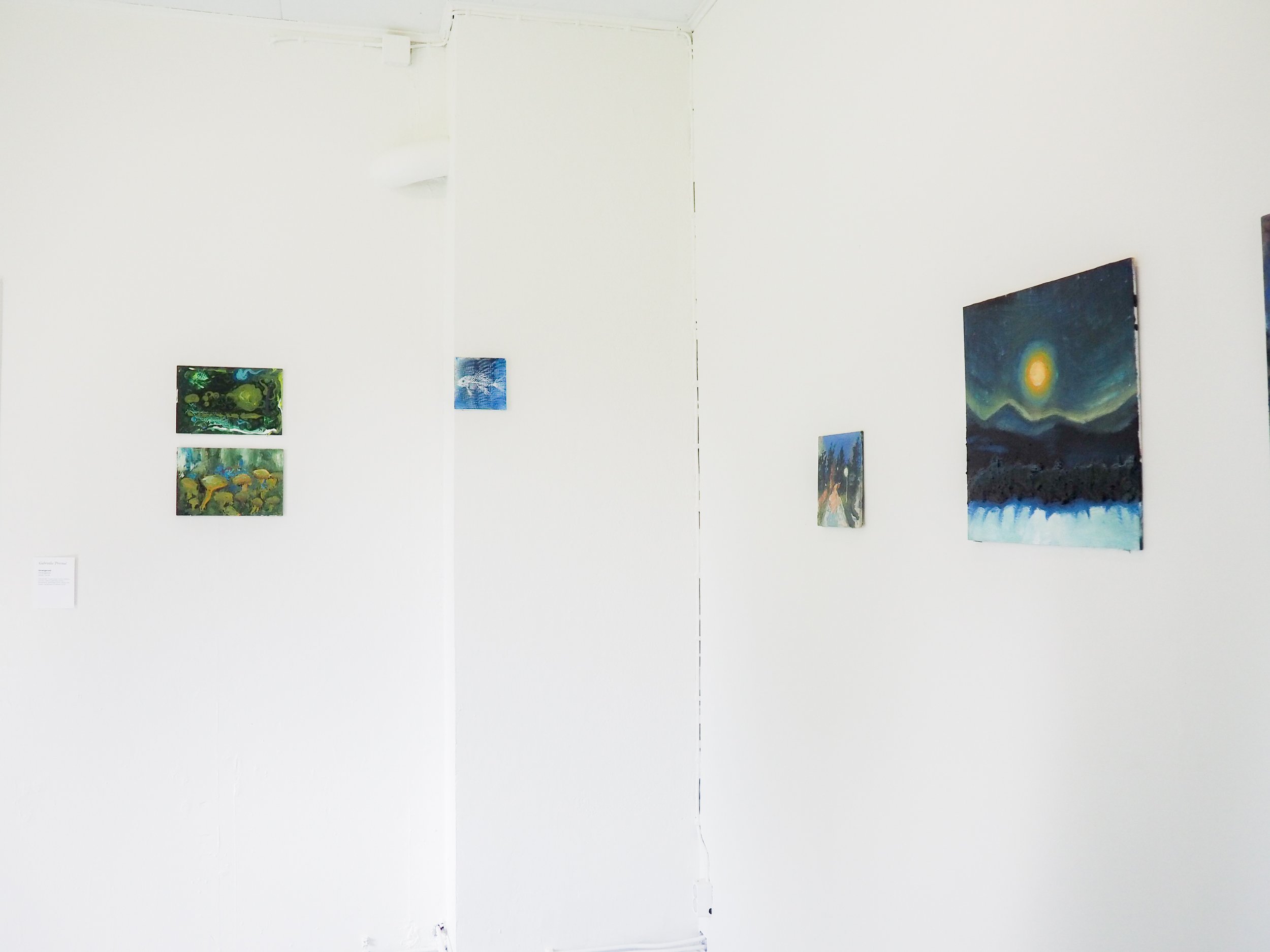 P1010056.jpg