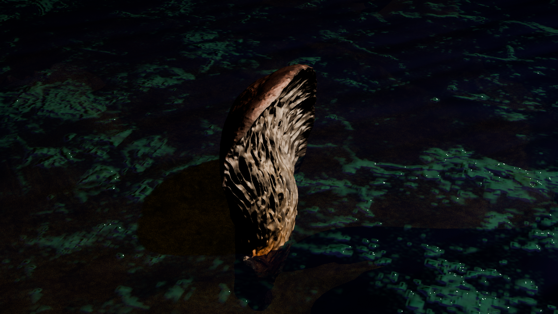 Mycelium in Water3.png