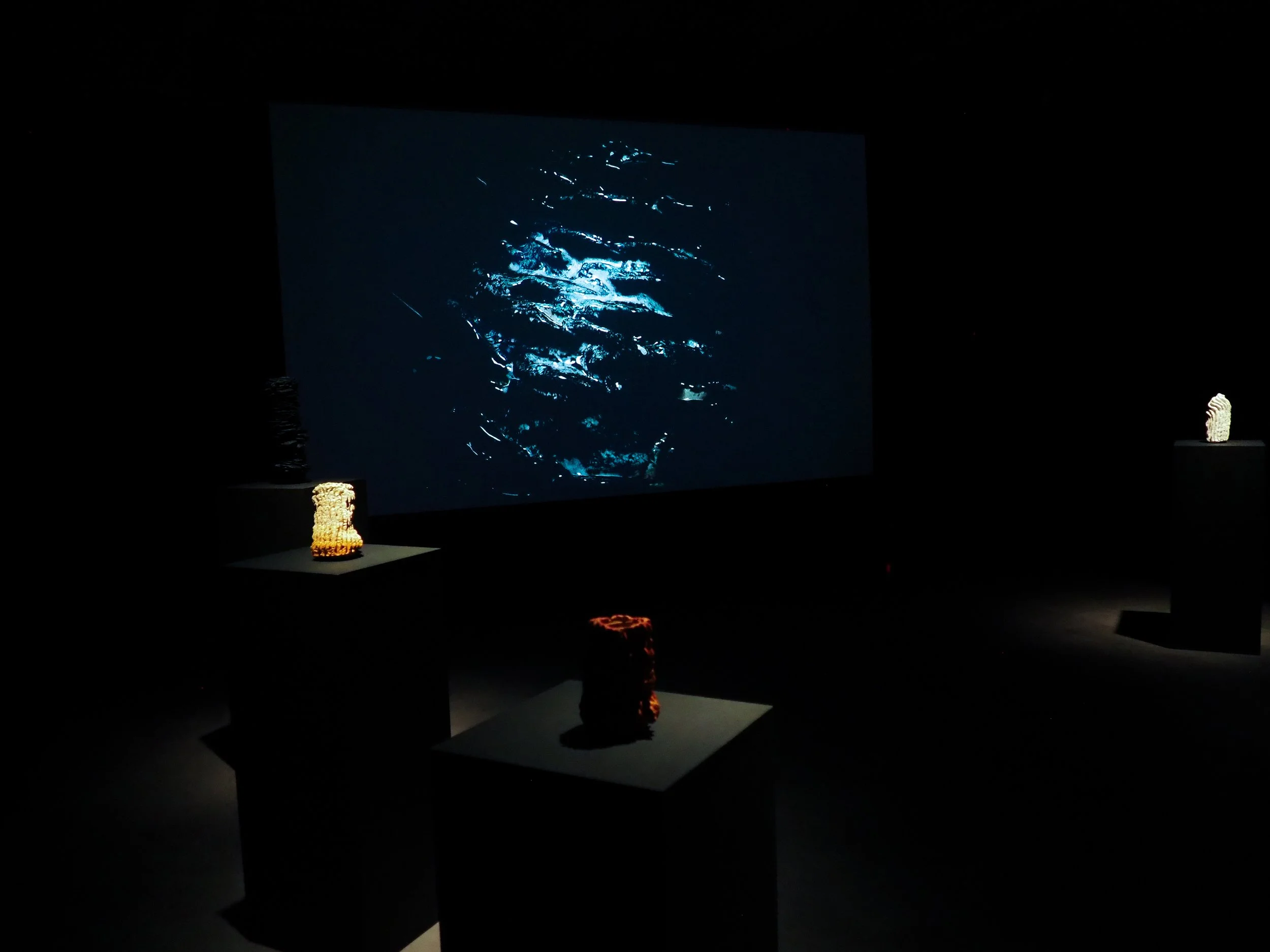 P1010315.jpg