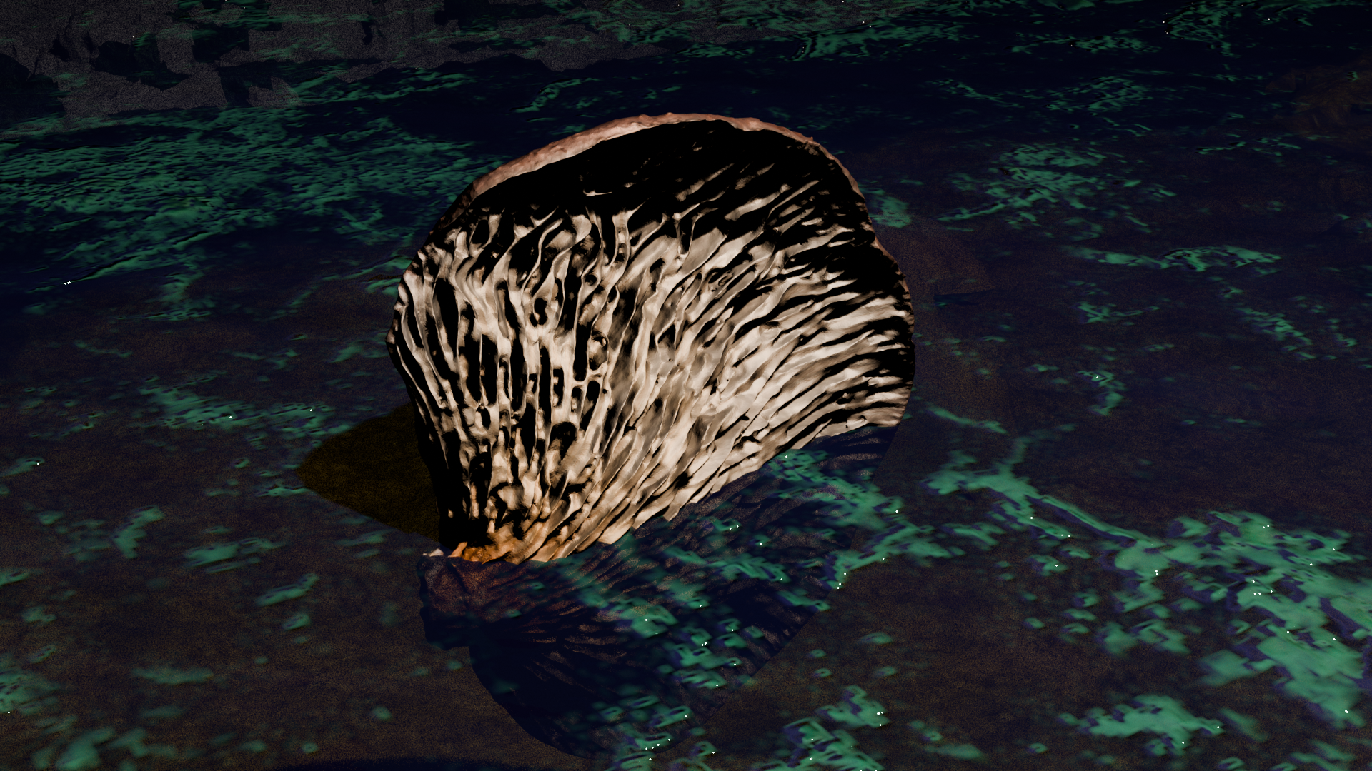Mycelium in Water2.png