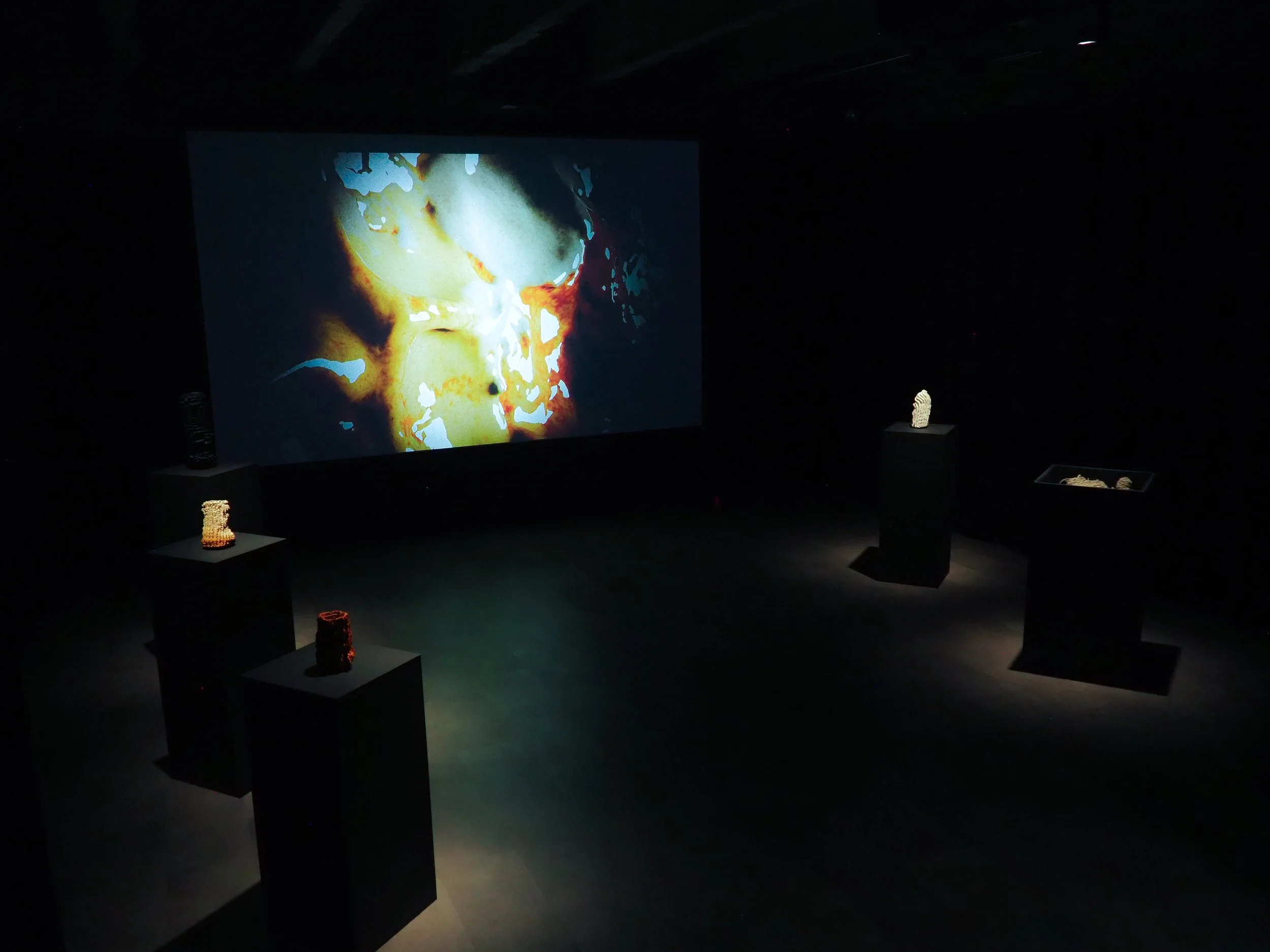 P1010353.jpg