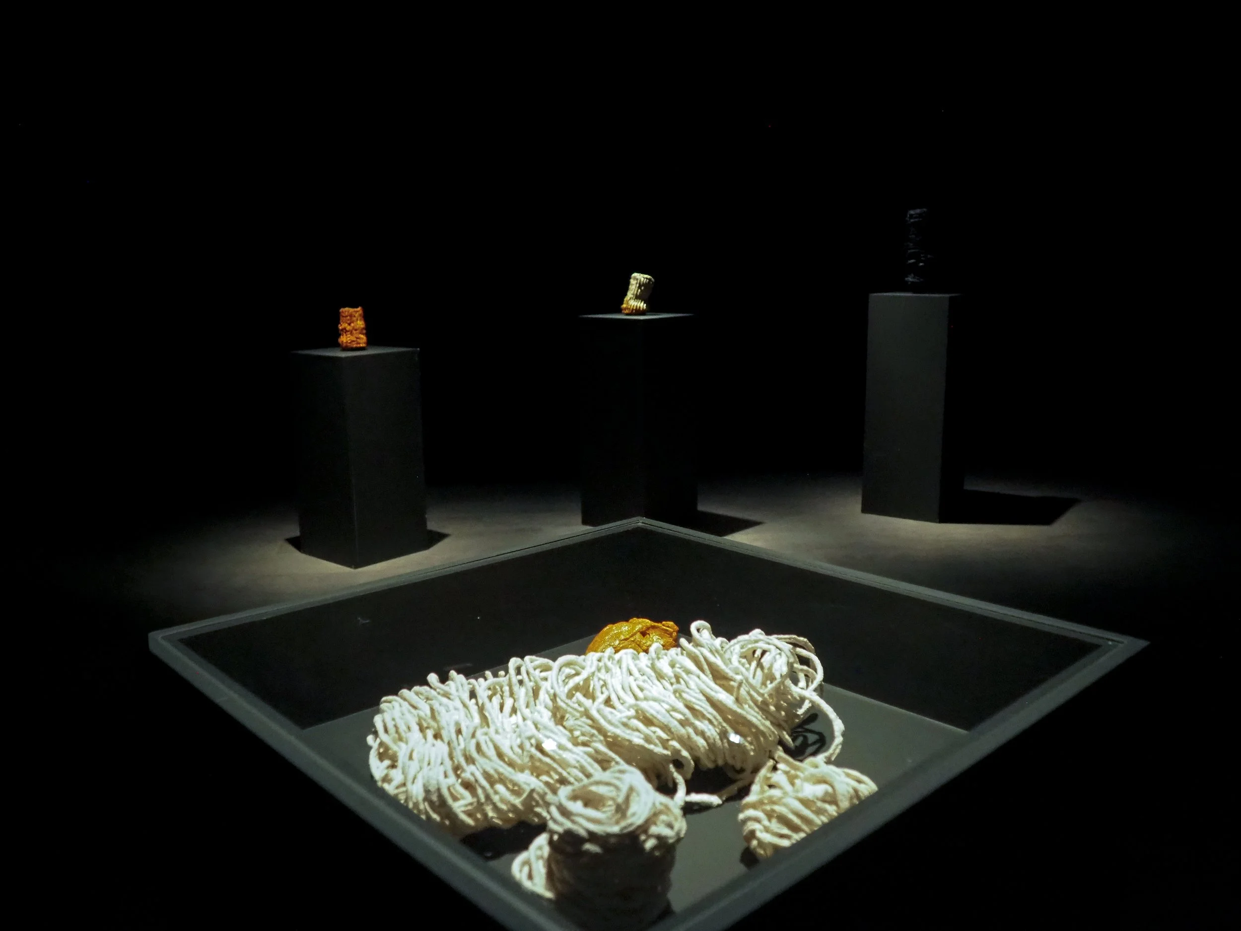 P1010148.jpg