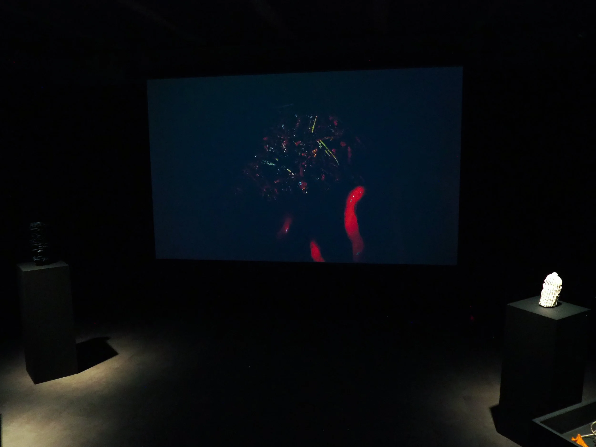 P1010376.jpg