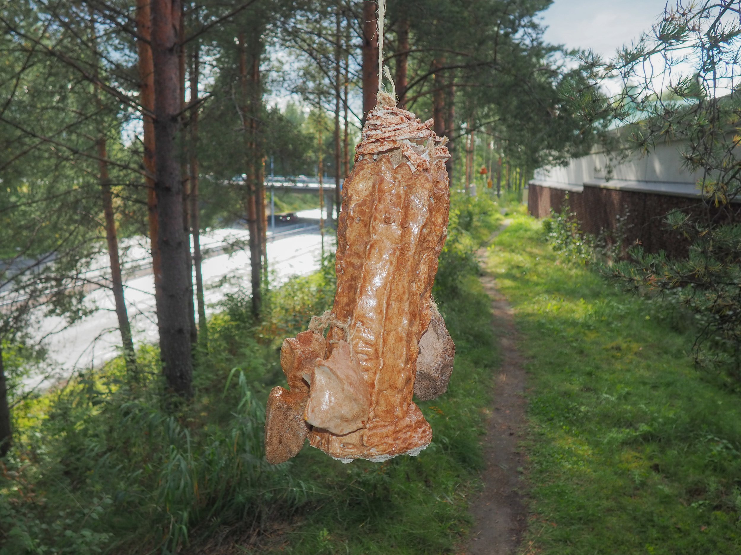 P1010531.jpg