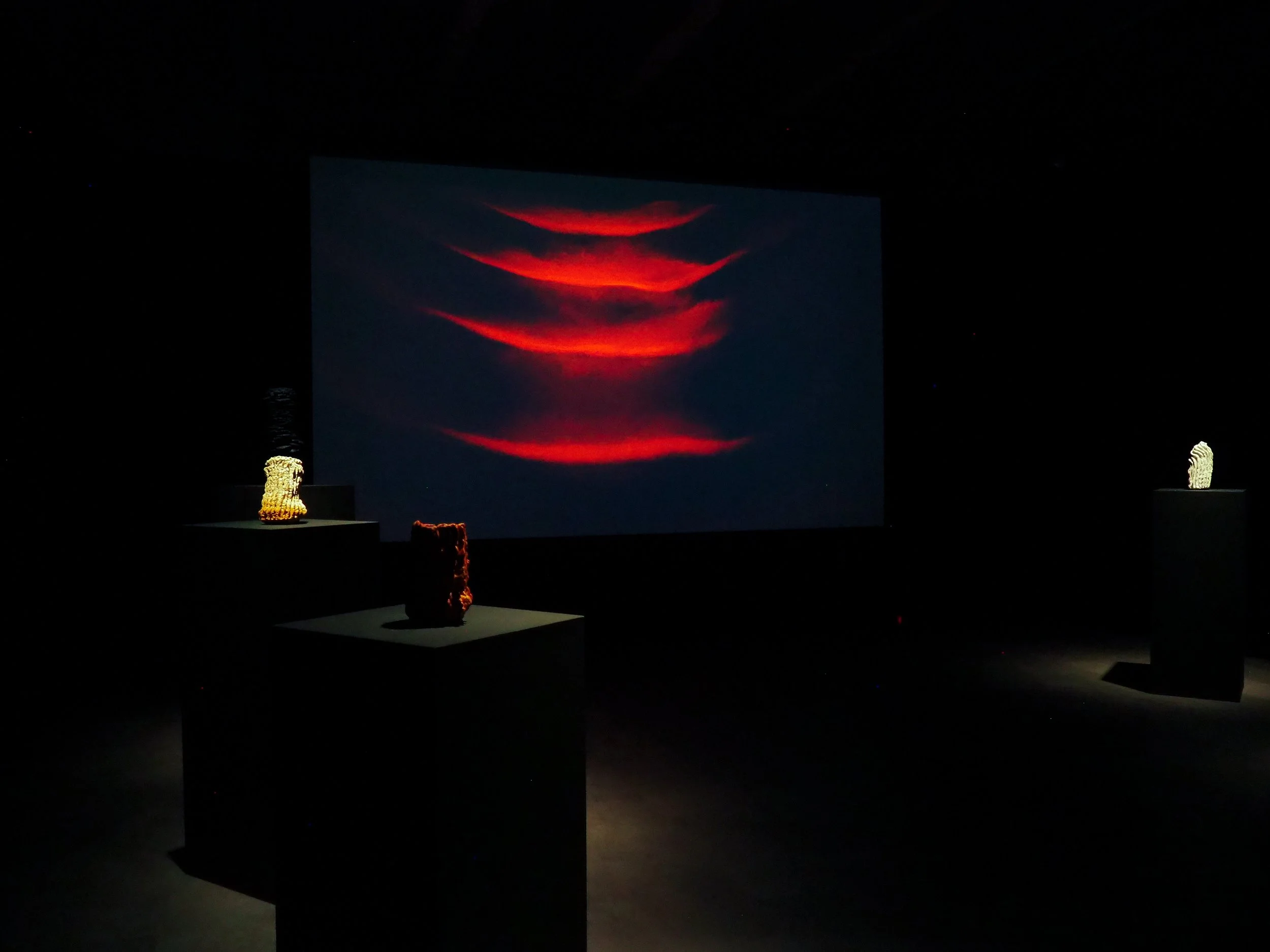 P1010414.jpg