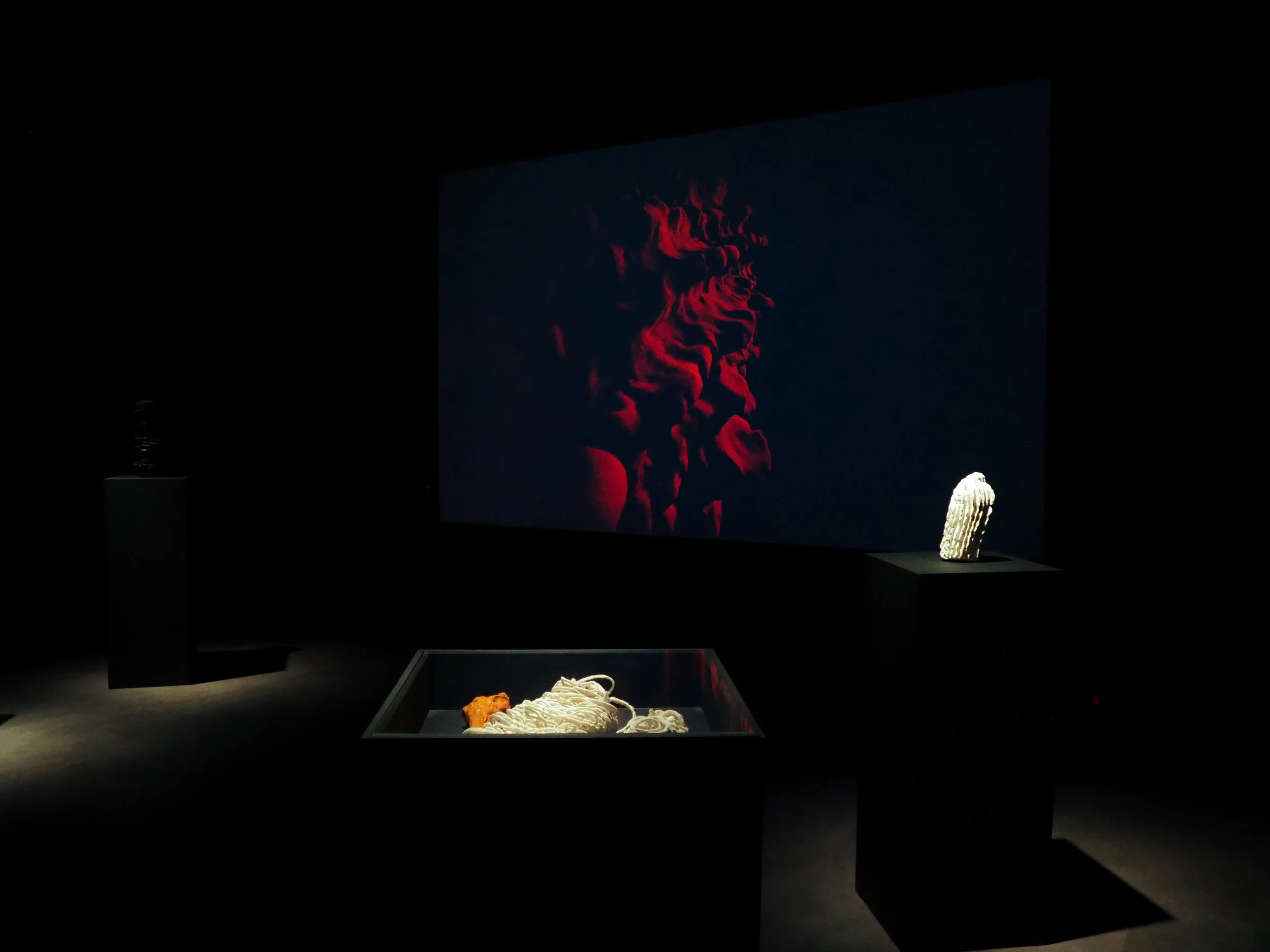 P1010295.jpg