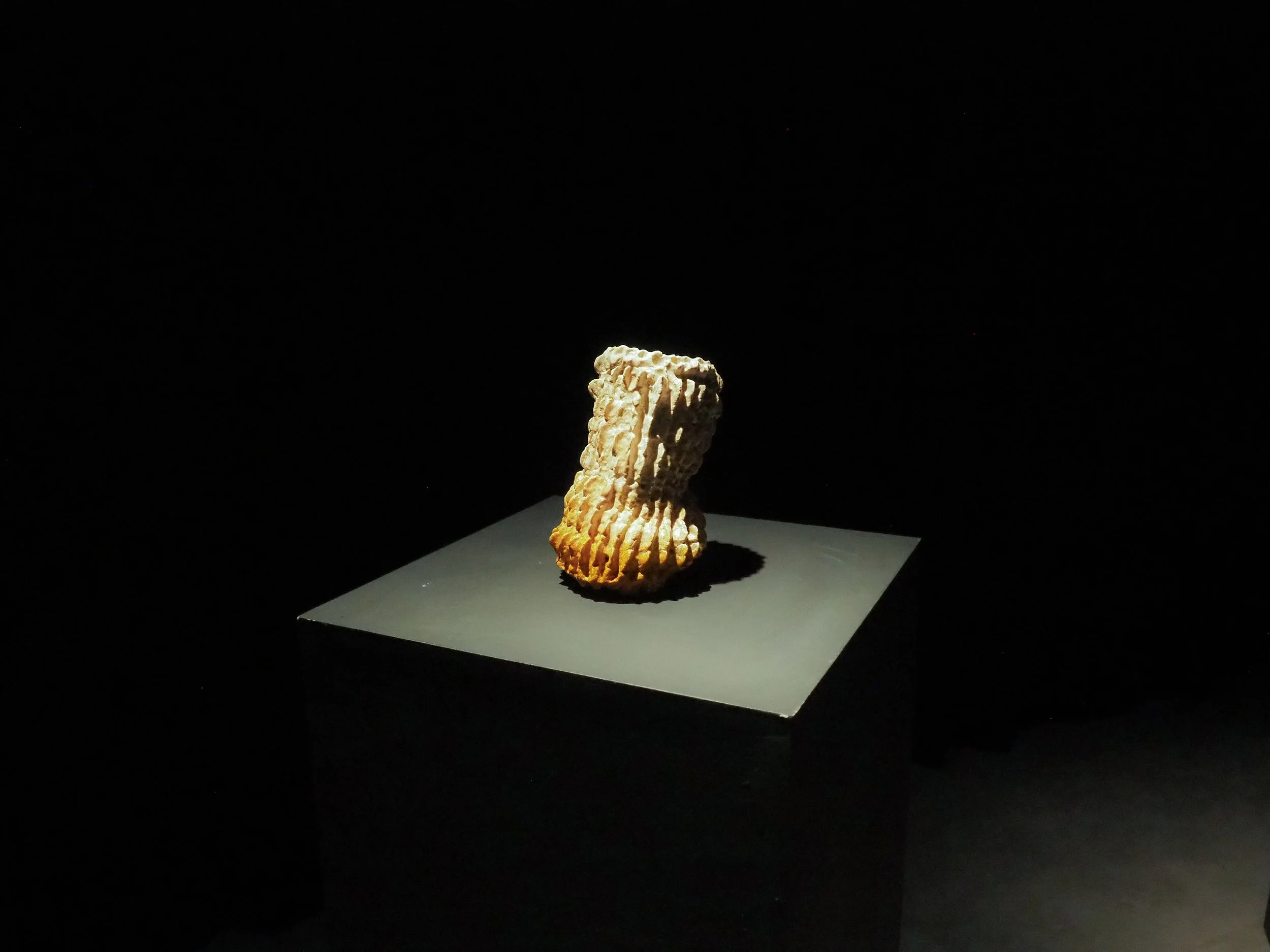 P1010189.jpg