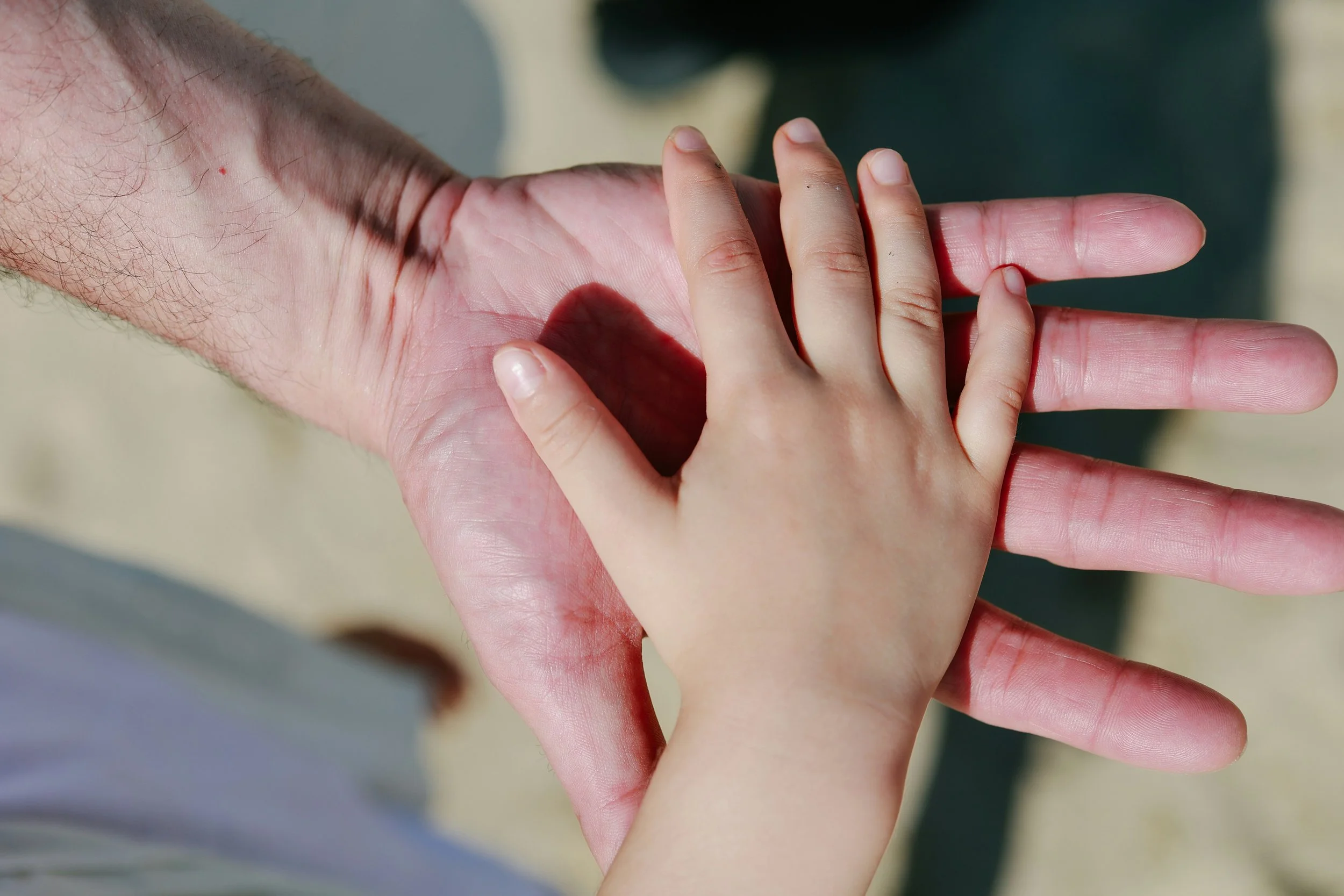Parent and childs hands