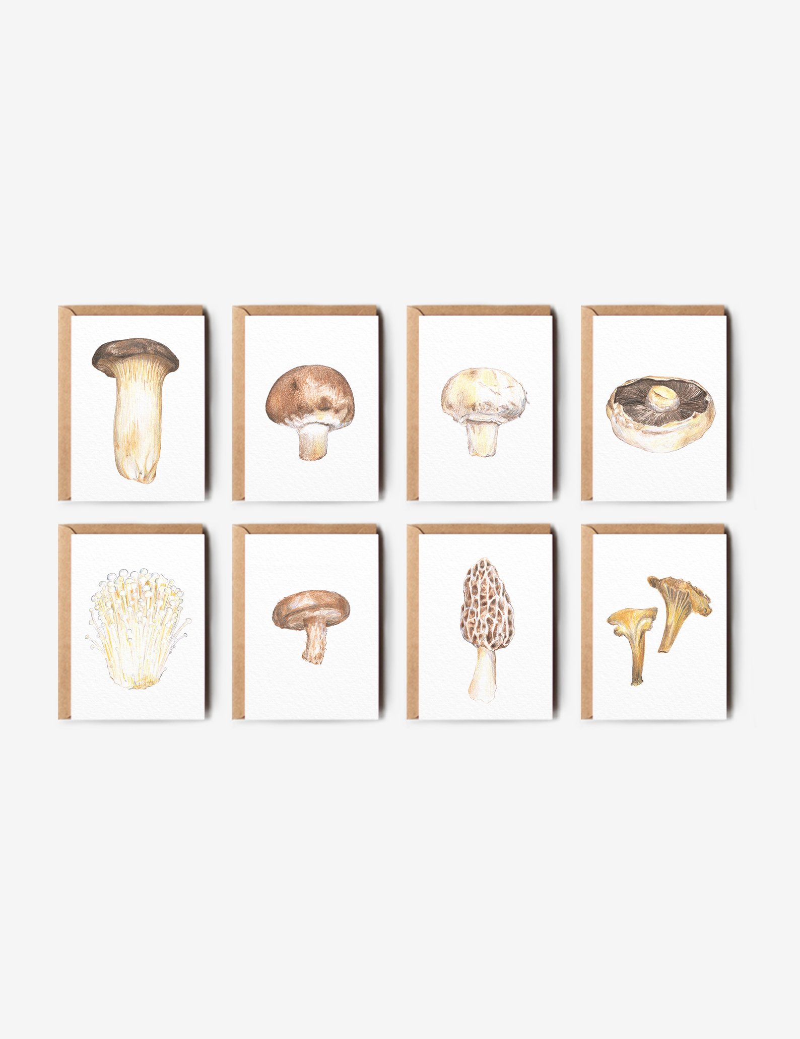 The Mushroom Card Bundle