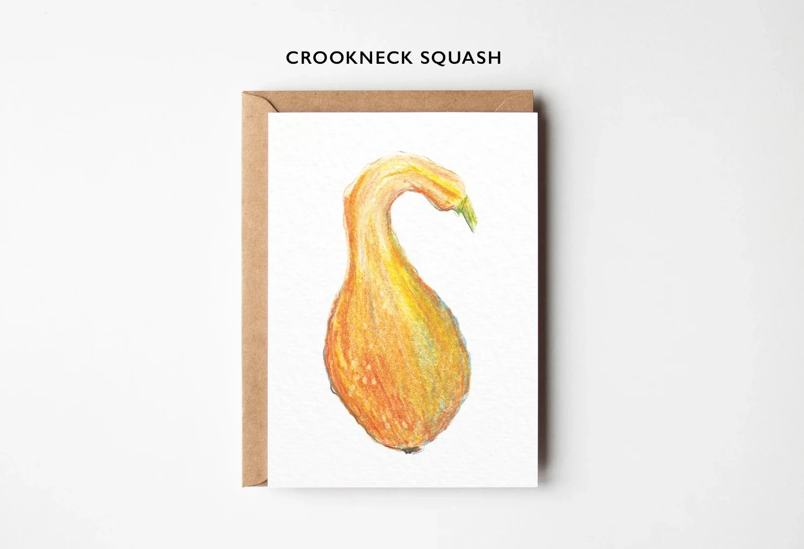 5_Card_Mockup_CROOKNECK_SQUASH.jpg