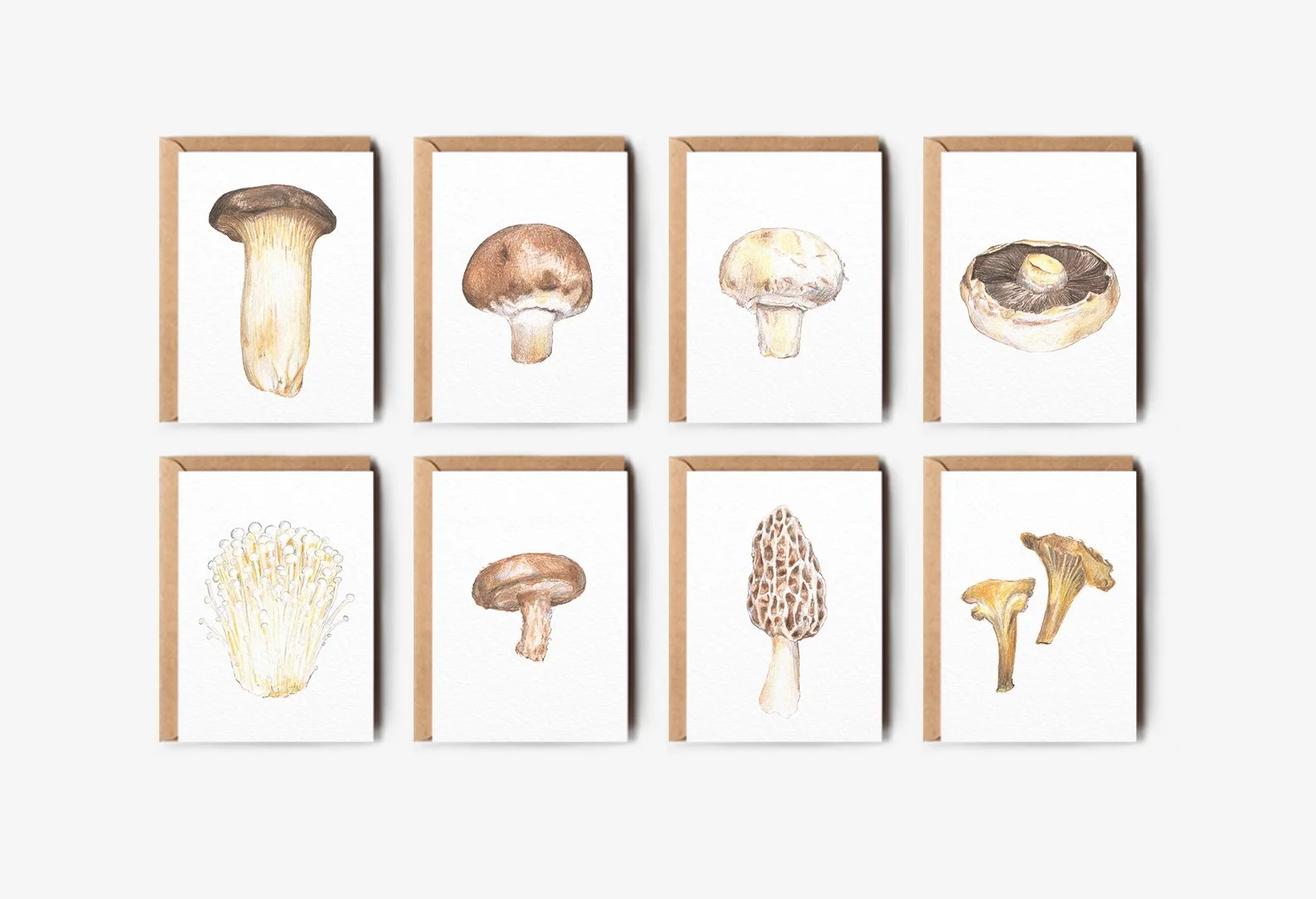 Mushroom_Card_Grid_Mockup.jpg