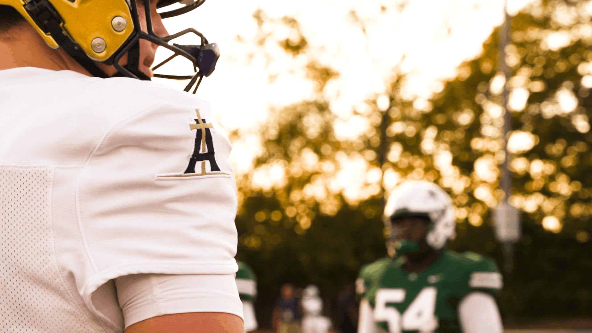 2025 REEL.00_00_33_04.Still006.png