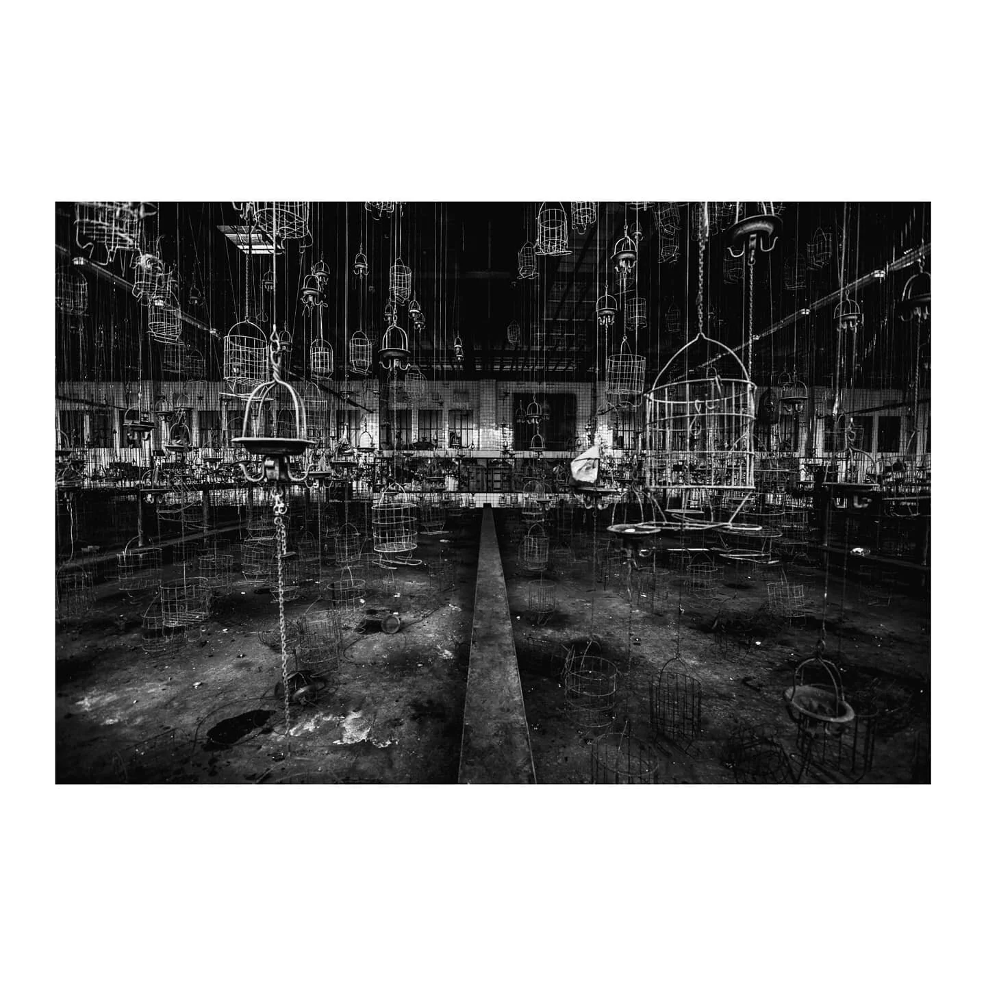&ldquo;Gelsenkirchen&rdquo; by @stefaantemmerman
Get your signed archival print here or at www.photocoop.eu (link in bio)

#photography #printshop #kooplokaal #interiordesign #interior #interiorinspiration #interiorstyling #interieurinspiratie #interieur #interieurstyling #blackandwhite #blackandwhitephotography #gelsenkirchen #amenra