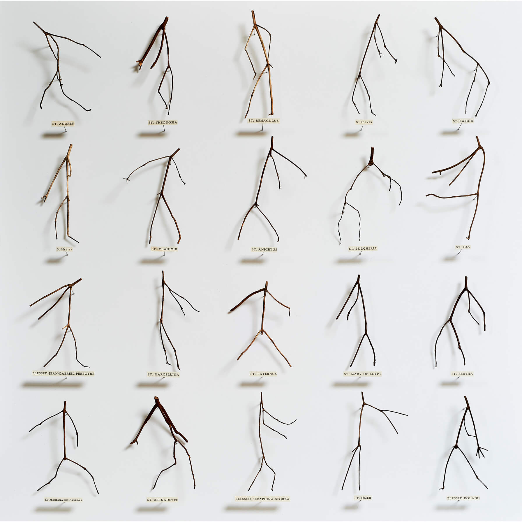 Twig Saints – Frames of Reference