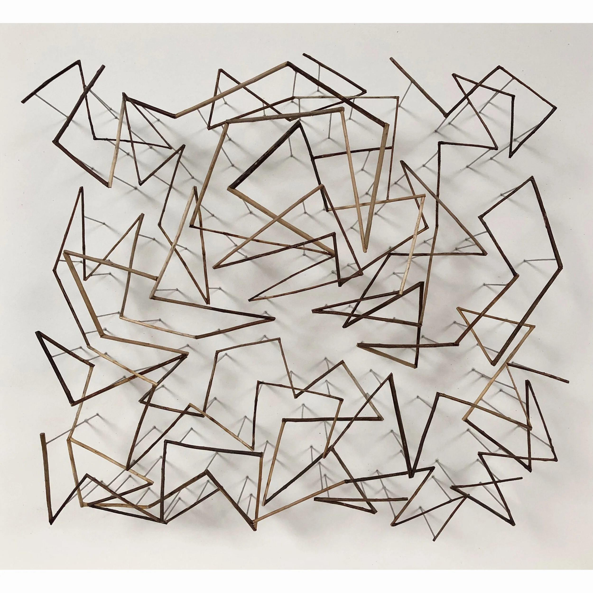 Twig Drawing 2019.JPG