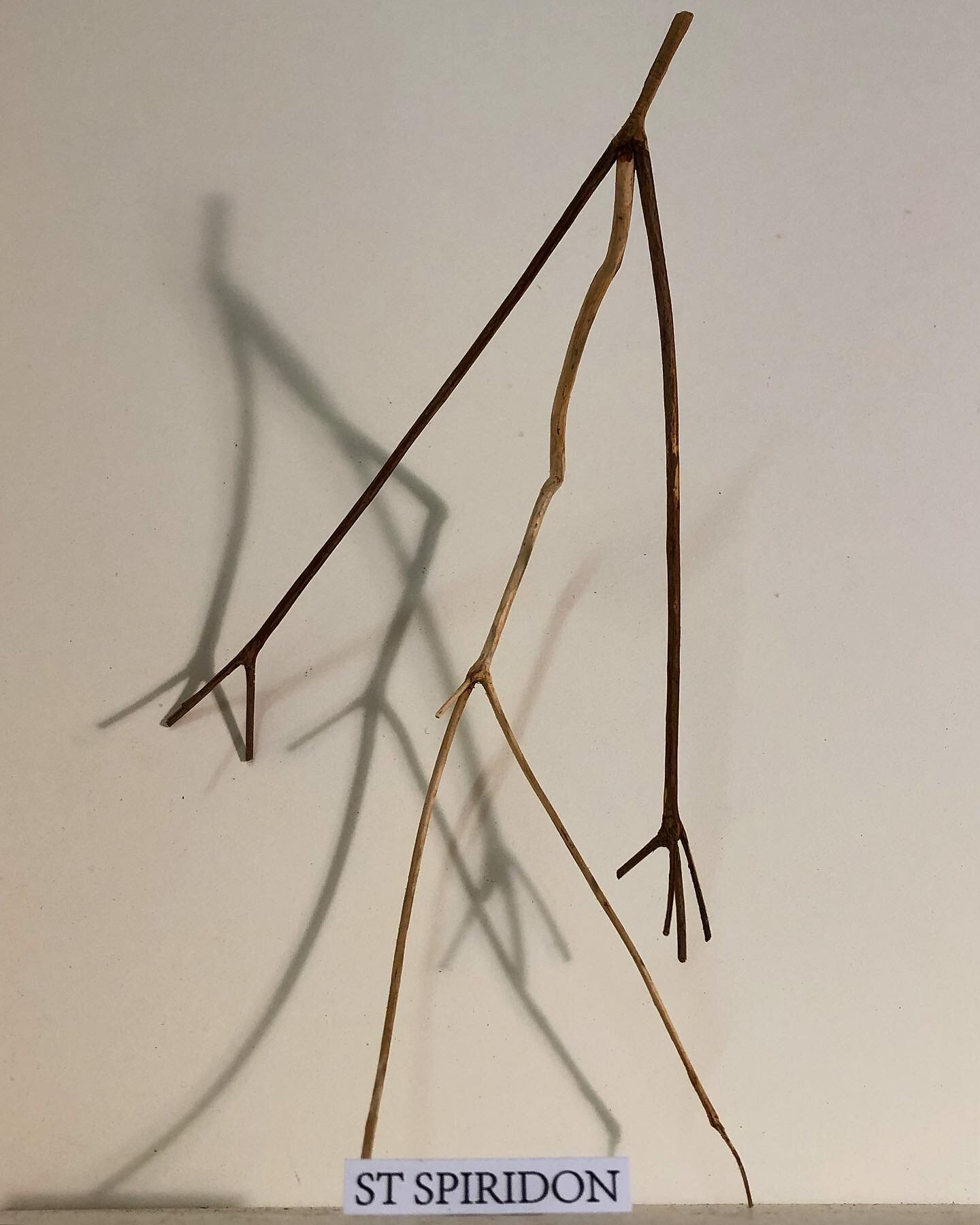 .
St Spiridon 
Saint of the Day 
December 12th
~
Spiridon was a Cypriot shepherd known for his piety. He converted a pagan philosopher to the mono-god theory with a pottery analogy - one pot being made of a trinity of elements: fire, water and clay. 