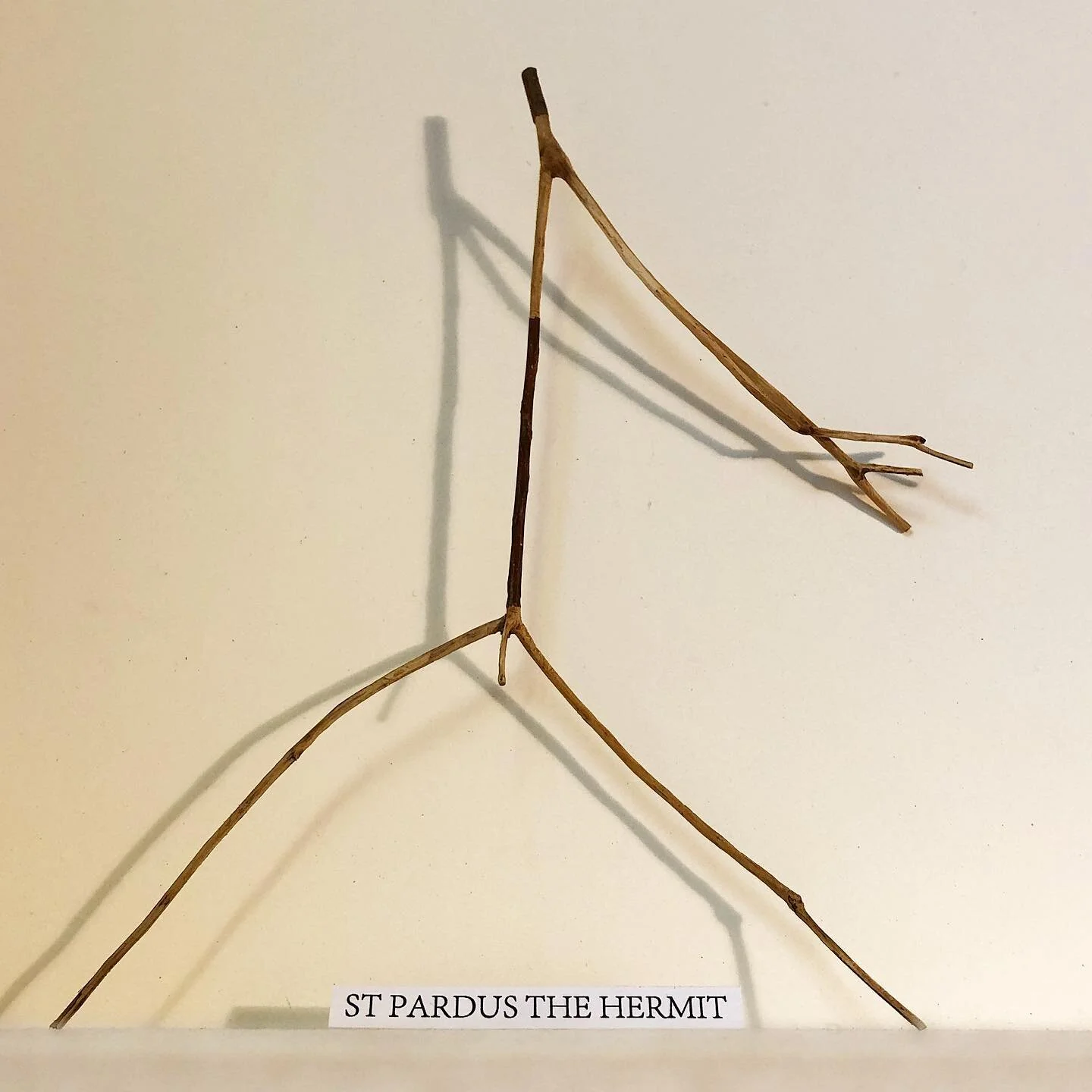 .
St Pardus the Hermit
Saint of the Day 
December 15th
Pardus was a camel-driver in Palestine. Life was proceeding smoothly until his camels trampled to death a small boy by mistake.
Pardus felt overwhelming guilt and decided on the ultimate penance,