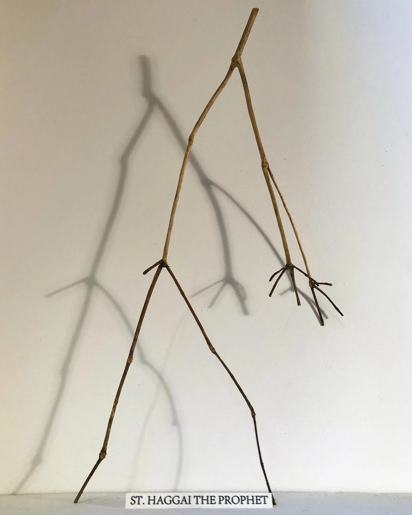 .
St Haggai the Prophet
Saint of the Day 
December 16th
Somewhat unexpectedly, Haggai means &ldquo;my holiday&rdquo;. This makes it surprising that he&rsquo;s not more popular.
Haggai did his prophecies during the reign of Darius of Persia and Zerubb