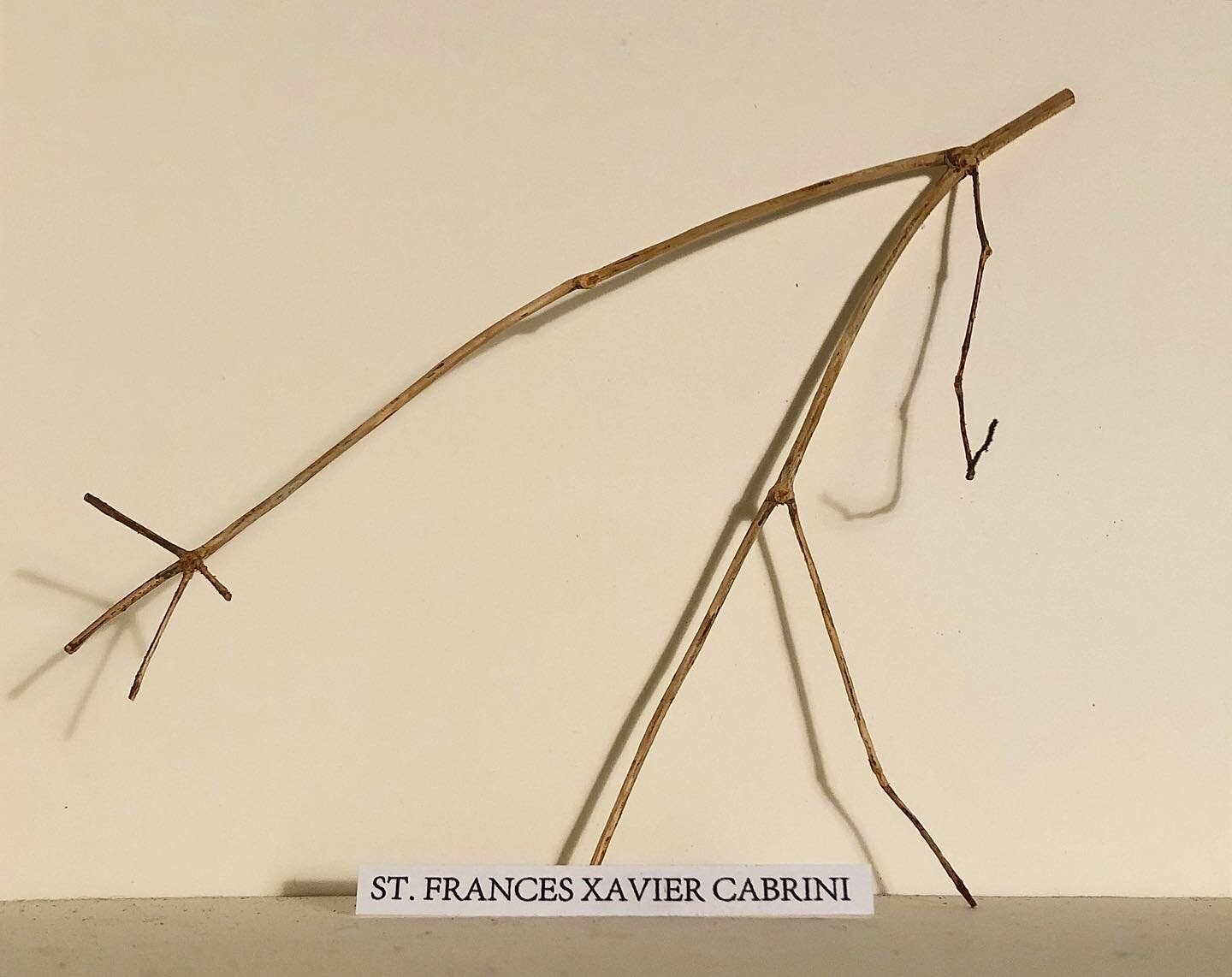 .
St Frances Xavier Cabrini
Saint of the Day 
December 22nd
Frances was the first naturalised citizen of the US to be canonised.
She was born in Lombardy, a sickly child but with evangelical ambitions - she would put little violets in paper boats and
