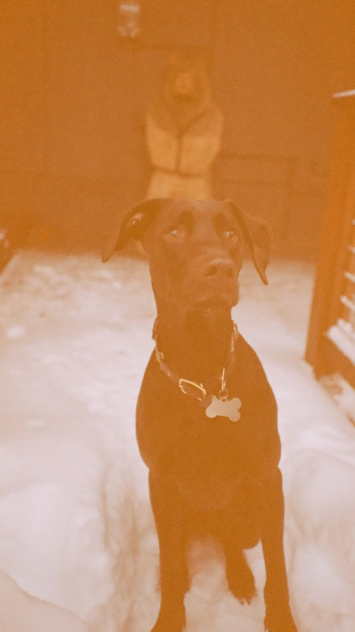 A51A9897-B310-47E2-BDB2-C7F4369D623E 2.jpeg